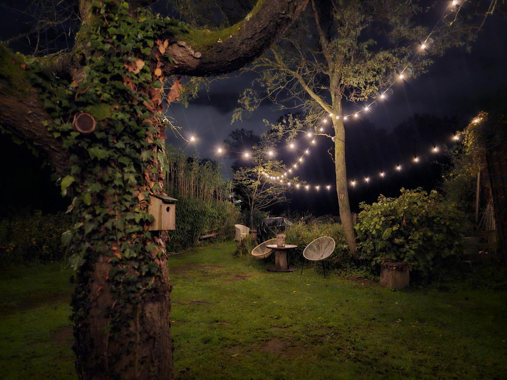 Weberhof-Muenster Glamping Hotell Exteriör bild